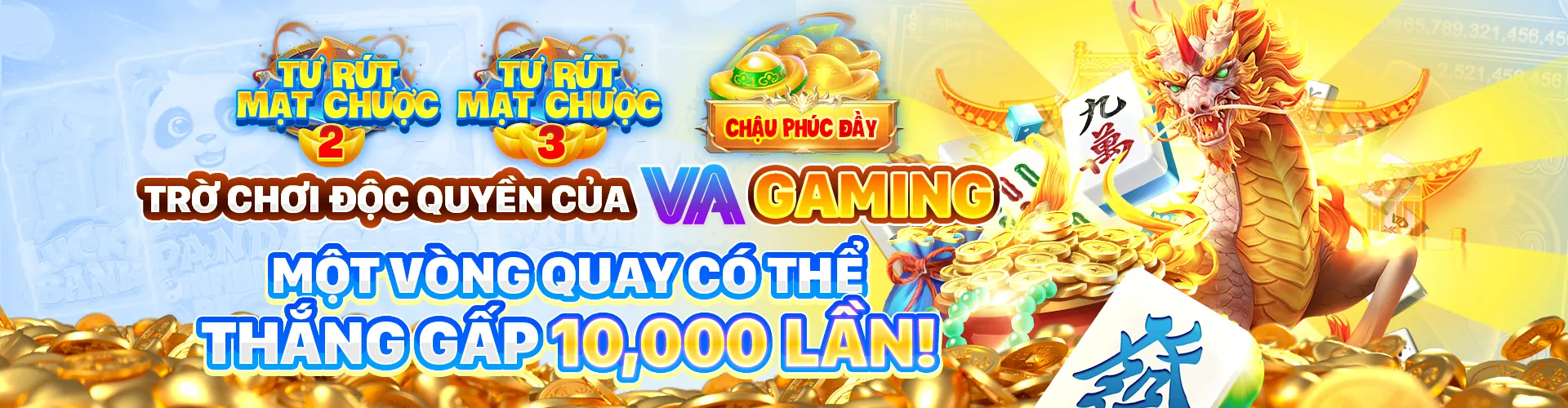 Hình ảnh đại diện Điều khoản và Điều kiện của 8kbet8 chính thức